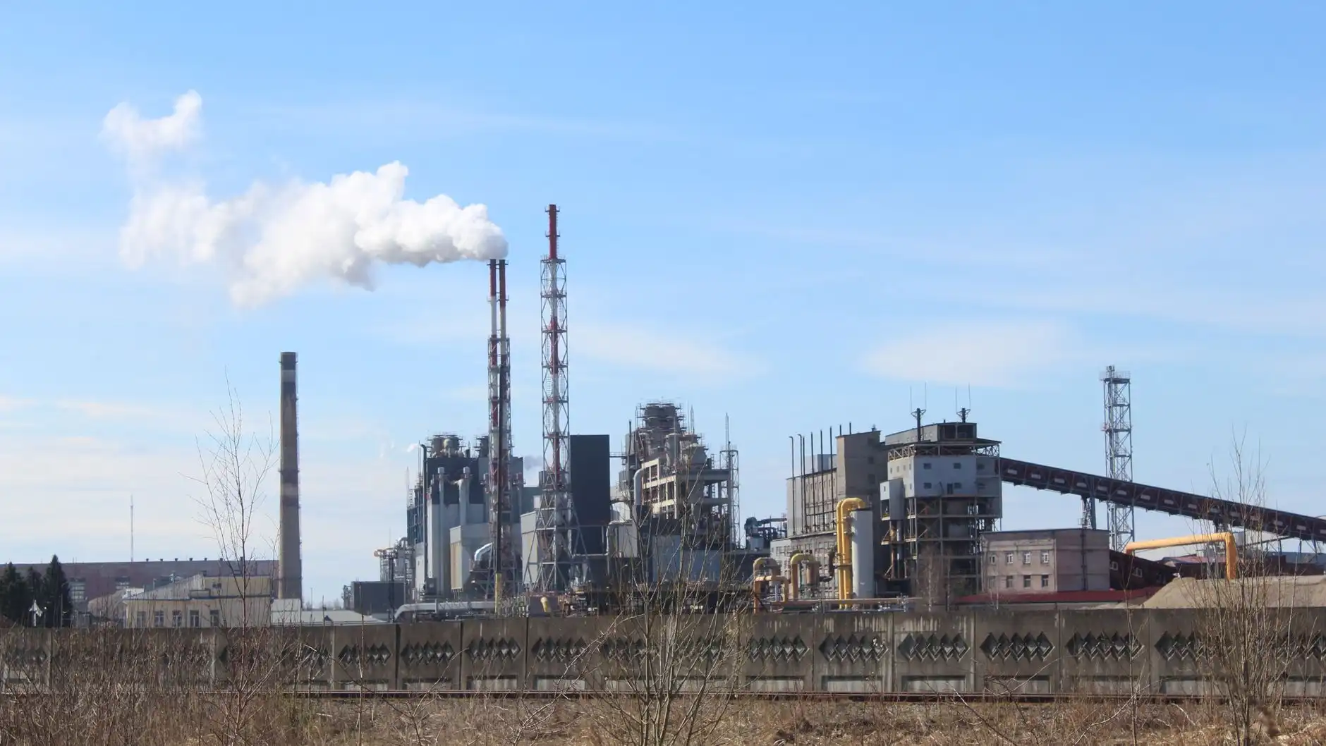 海南中小企业数字化转型：定制化软件开发的核心价值与实践路径