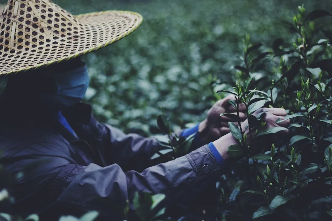 海口中小企业软件开发指南：如何选择适合自身业务的管理平台正文配图 2